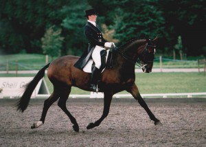 Wily Imp ridden by Sally Newcomb